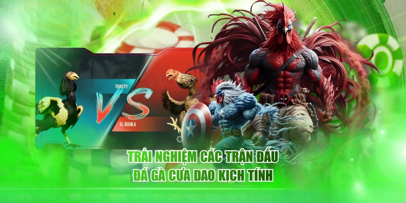 Đá Gà Bongda: Sân Chơi Kịch Tính Với Những Trận Đấu Đỉnh Cao